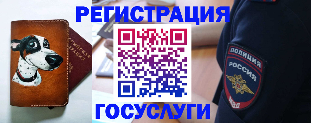 временная регистрация в квартире в Лодейном Поле